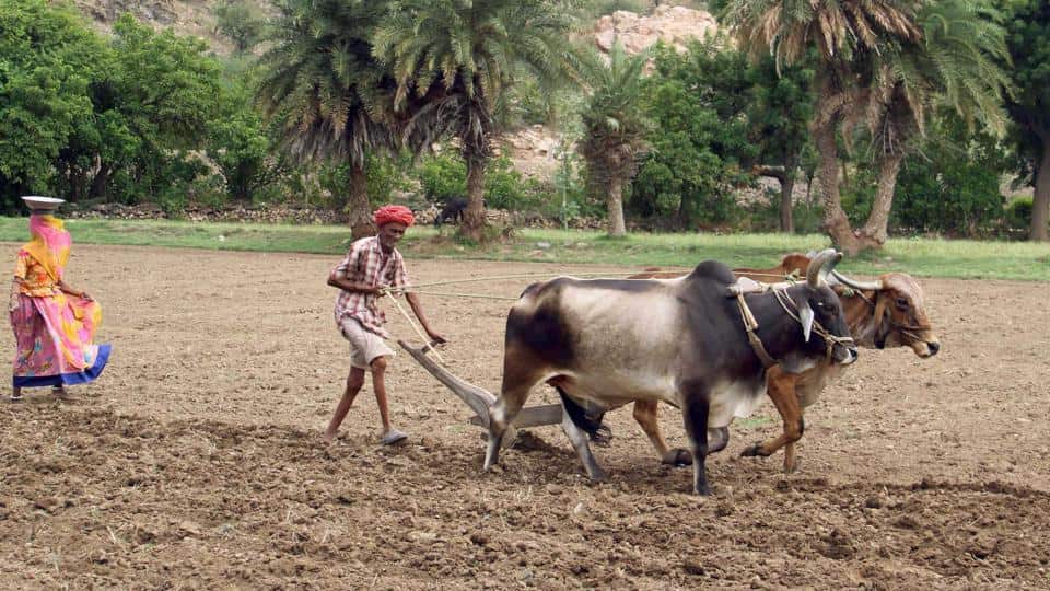 agriculture,loan waiver,narendra modi