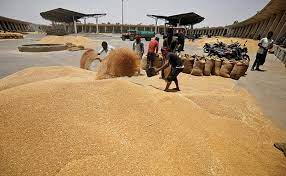 AIKS Demands Full Procurement And Bonus Of Rs 500 Per Quintal For Wheat
