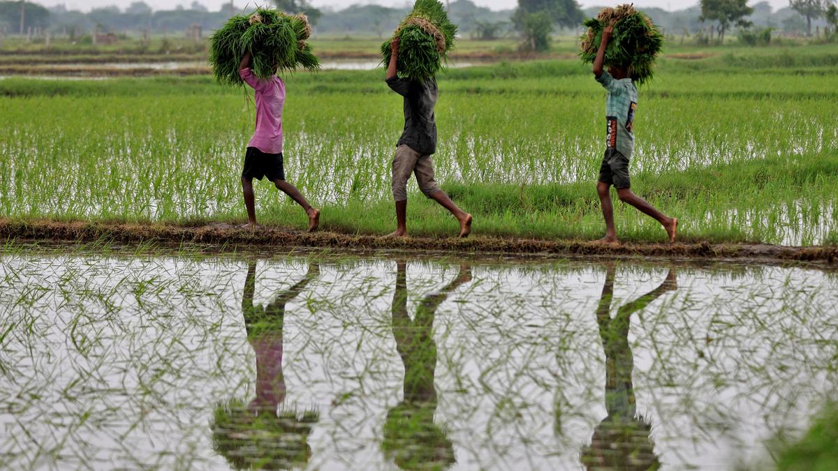 What do Farmers want from the 2025 Union Budget by Dr Ashok Dhawale